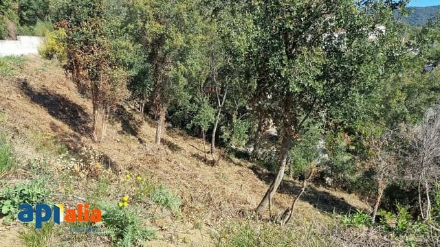 Terreno Non Edificato in vendita in Calonge i Sant Antoni - 68.000 € (Rif: 9930393)