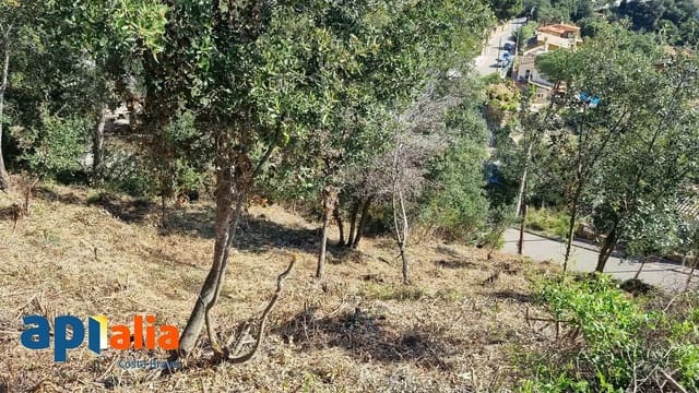 Terreno Non Edificato in vendita in Calonge i Sant Antoni - 68.000 € (Rif: 9930393)