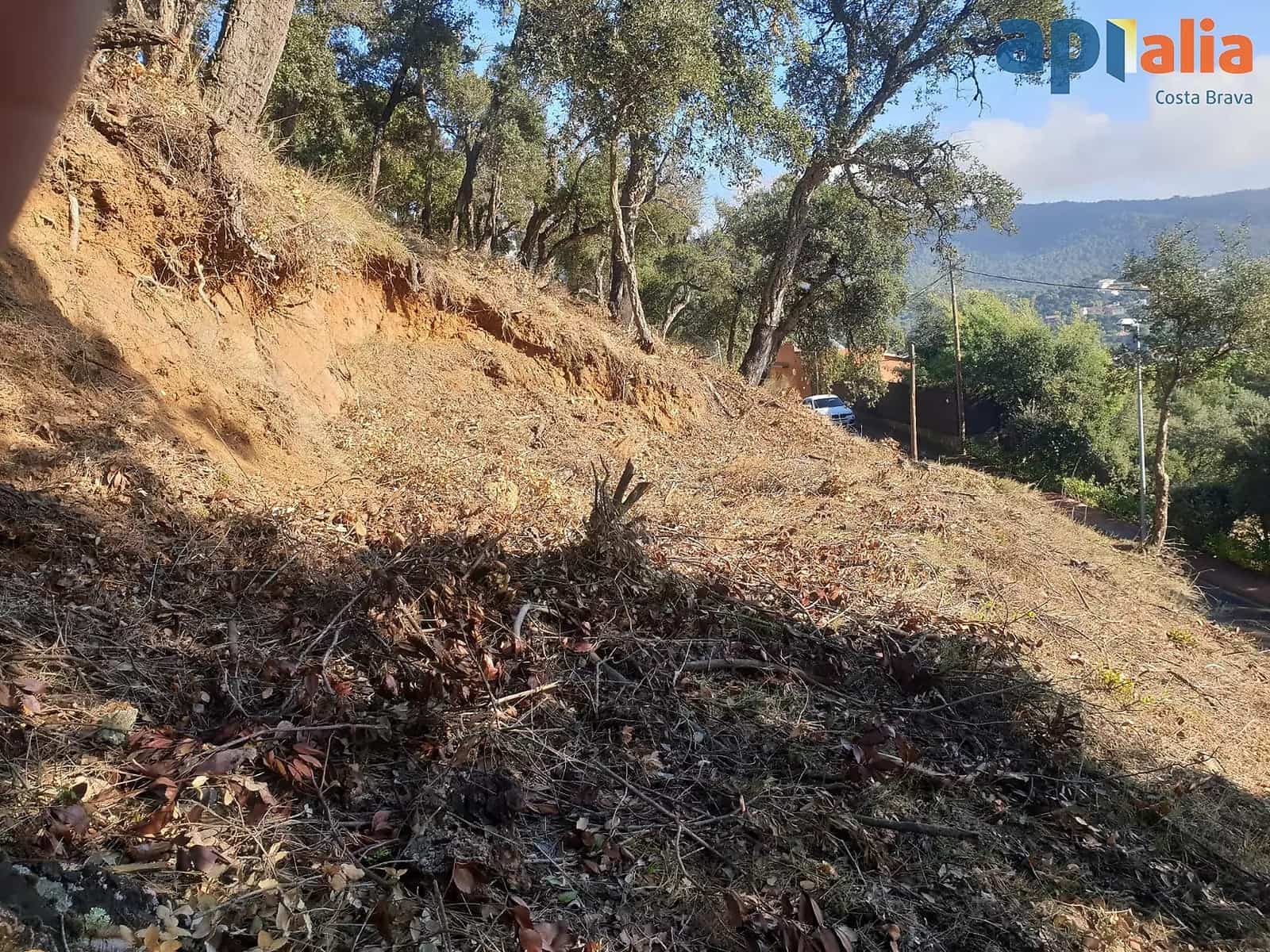 Undeveloped Land for sale in Calonge i Sant Antoni - € 114,000 (Ref: 9930394)