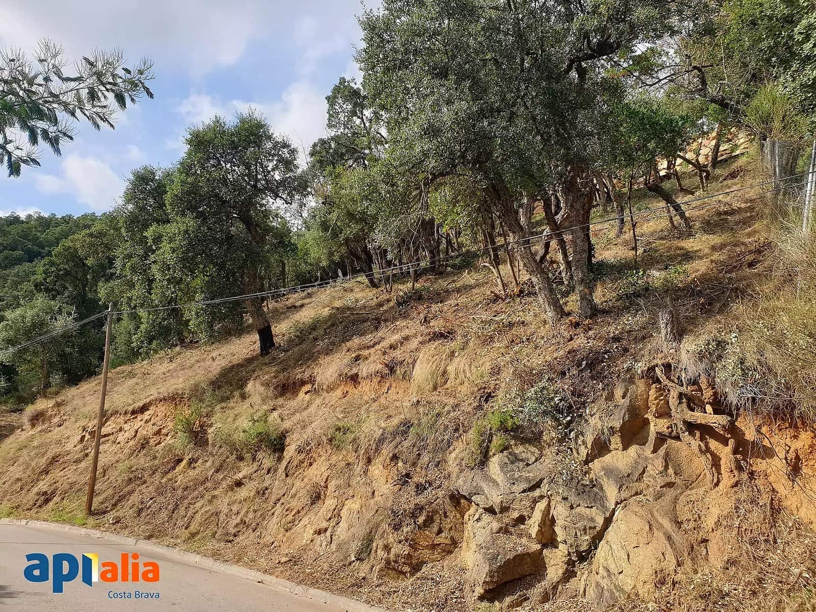 Undeveloped Land for sale in Calonge i Sant Antoni - € 114,000 (Ref: 9930394)