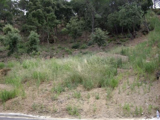 Ubebygd land til salgs i Calonge i Sant Antoni - € 105 000 (Ref: 9930395)
