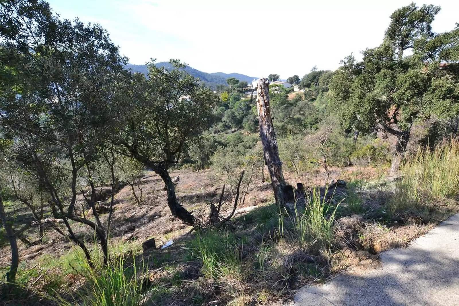 Terreno Não Urbanizado para venda em Calonge i Sant Antoni - 74 000 € (Ref: 9930396)