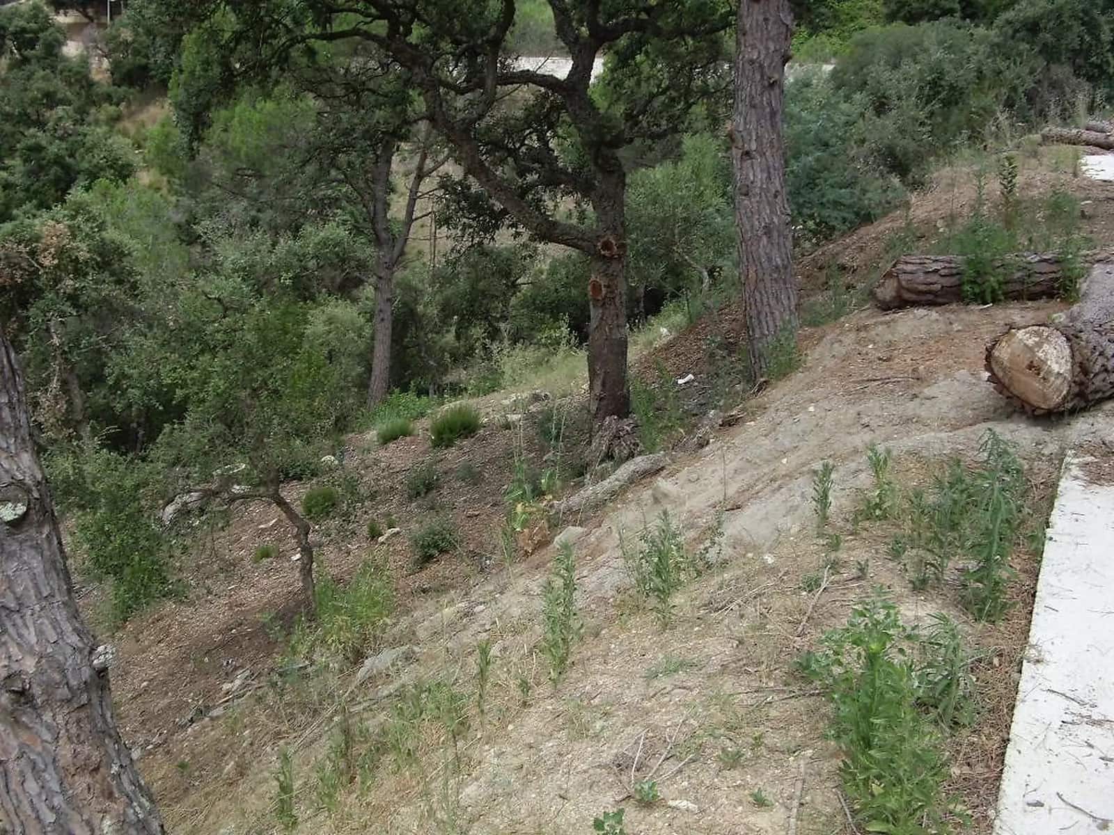 Terreno Não Urbanizado para venda em Calonge i Sant Antoni - 74 000 € (Ref: 9930396)