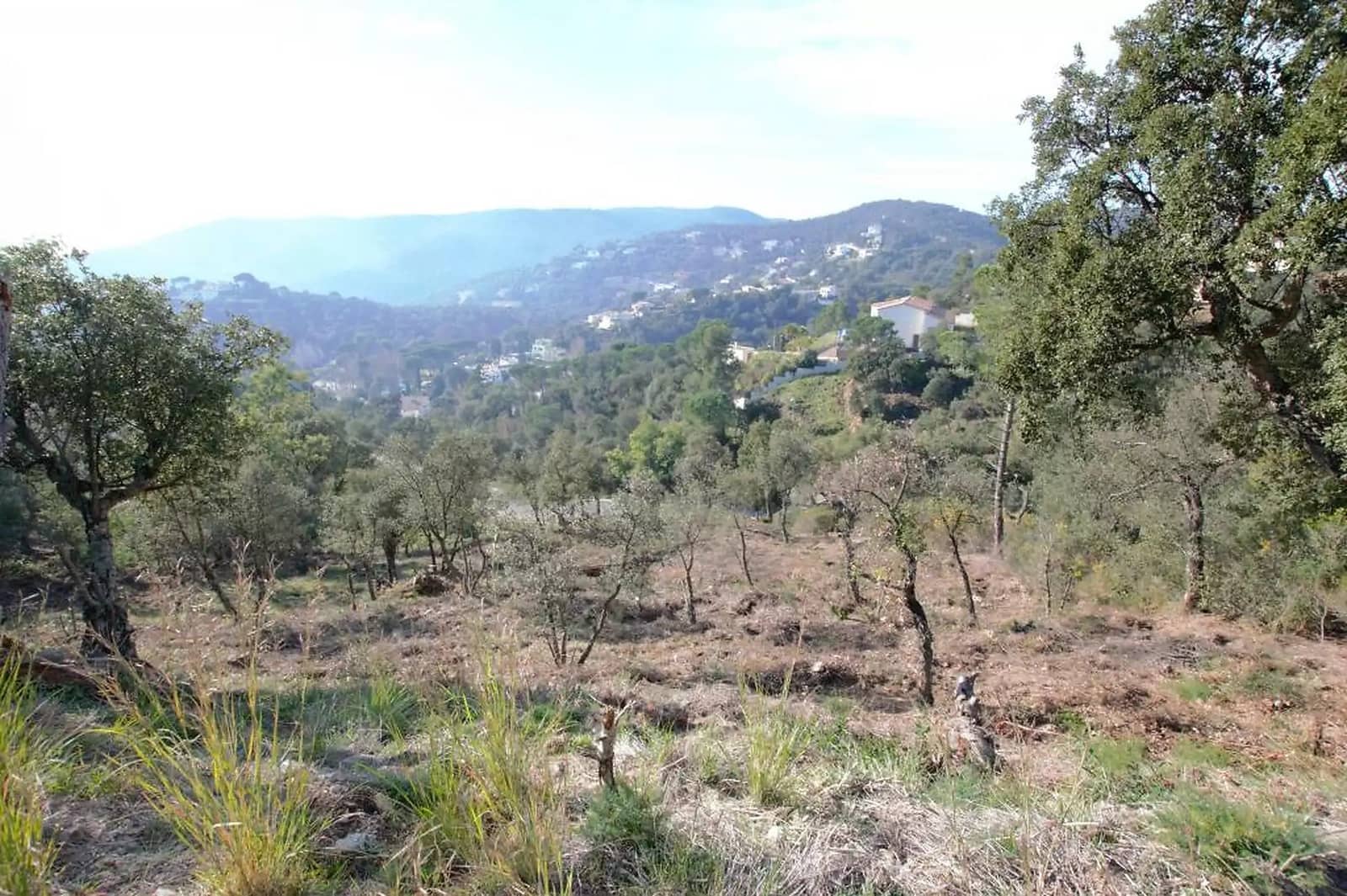 Terreno Não Urbanizado para venda em Calonge i Sant Antoni - 74 000 € (Ref: 9930396)