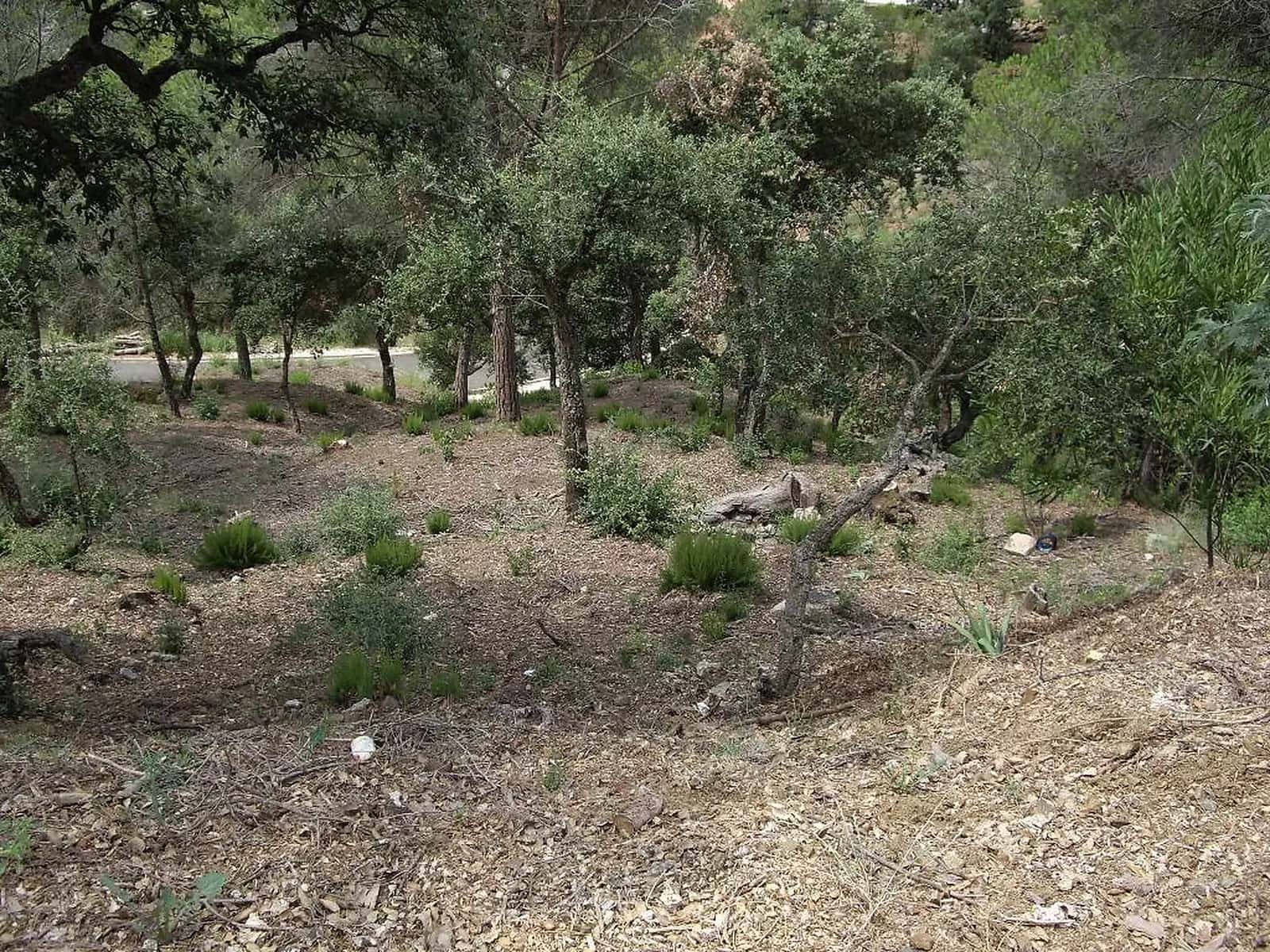 Terreno Não Urbanizado para venda em Calonge i Sant Antoni - 74 000 € (Ref: 9930396)
