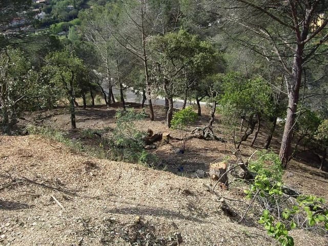 Ubebygd land til salgs i Calonge i Sant Antoni - € 74 000 (Ref: 9930396)