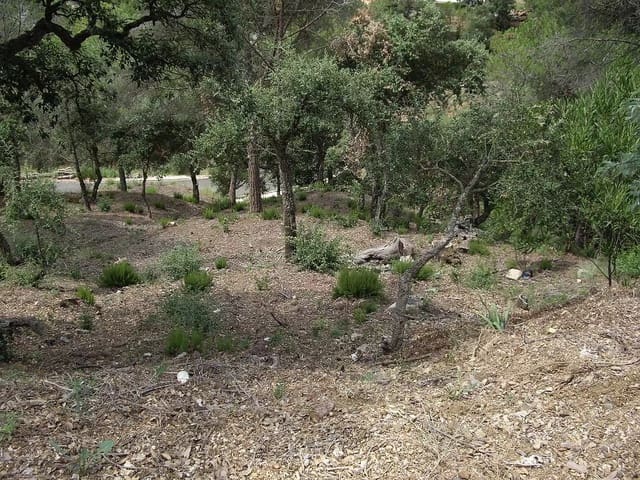 Ubebygd land til salgs i Calonge i Sant Antoni - € 74 000 (Ref: 9930396)