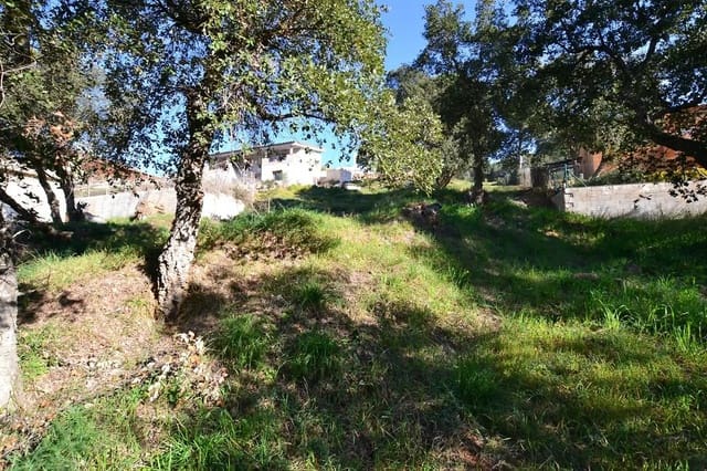 Ubebygd land til salgs i Calonge i Sant Antoni - € 100 000 (Ref: 9930397)