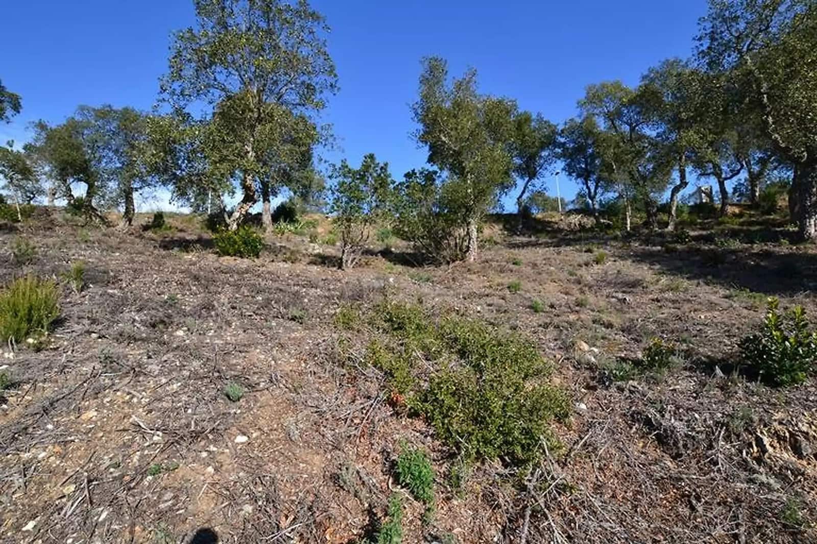 Undeveloped Land for sale in Calonge i Sant Antoni - € 105,000 (Ref: 9930399)