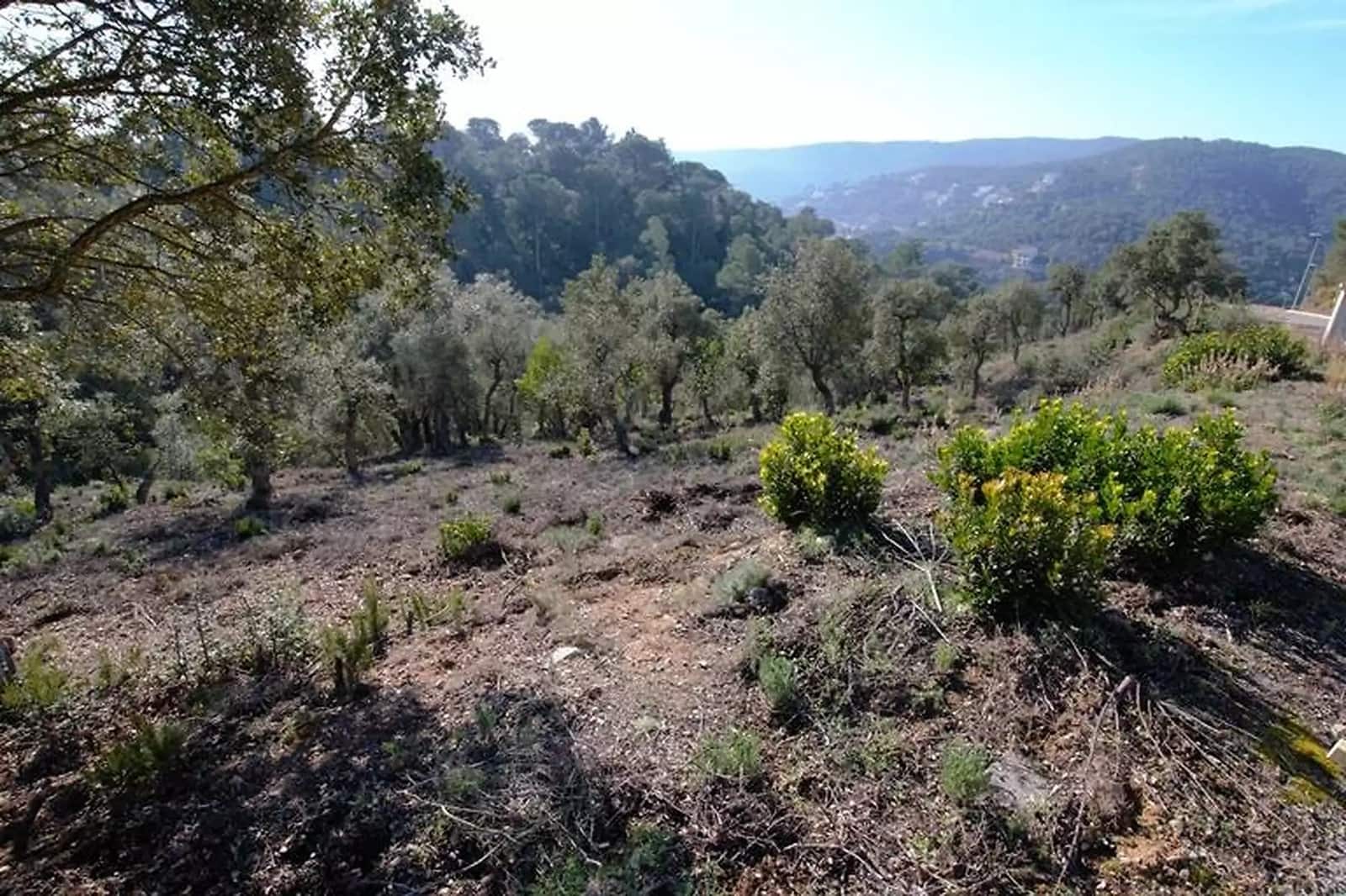 Undeveloped Land for sale in Calonge i Sant Antoni - € 105,000 (Ref: 9930399)