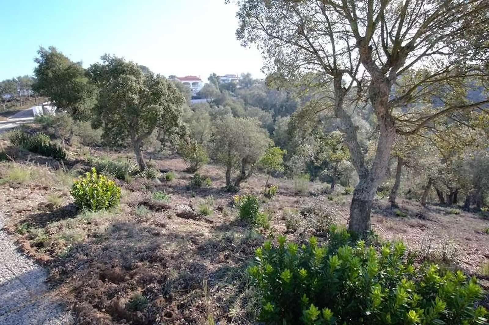 Undeveloped Land for sale in Calonge i Sant Antoni - € 105,000 (Ref: 9930399)
