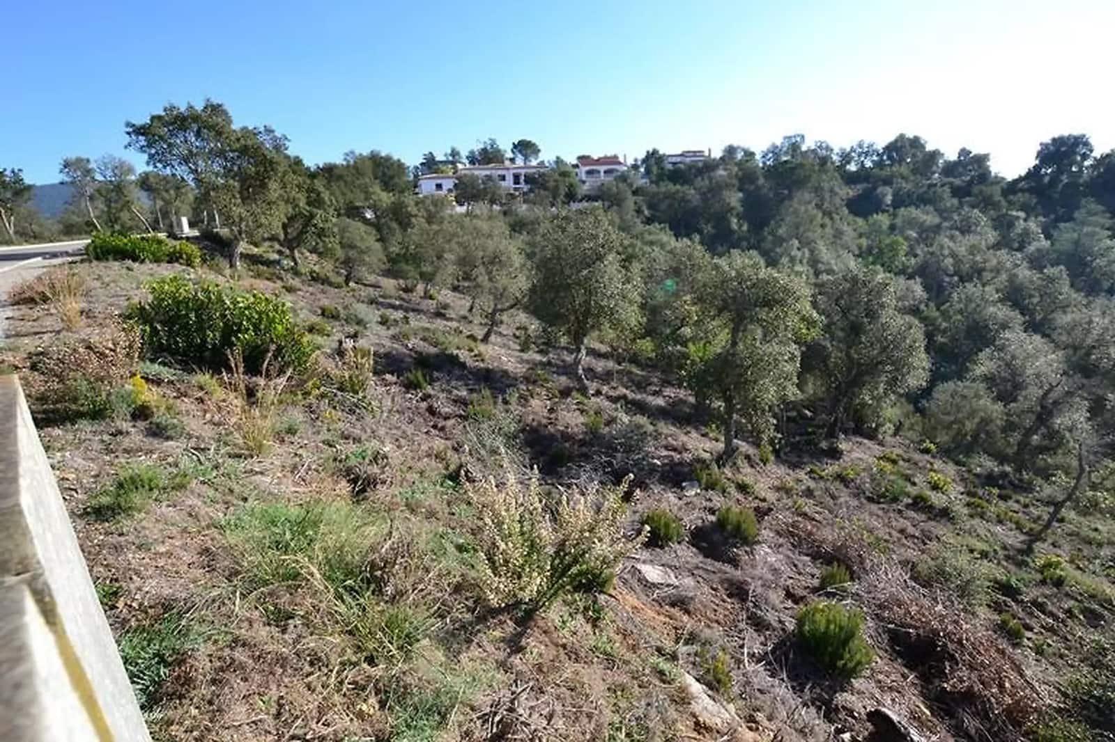 Undeveloped Land for sale in Calonge i Sant Antoni - € 105,000 (Ref: 9930399)