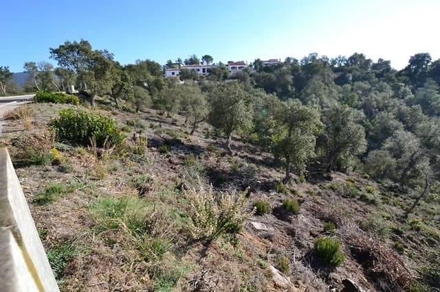 Ubebygd land til salgs i Calonge i Sant Antoni - € 105 000 (Ref: 9930399)