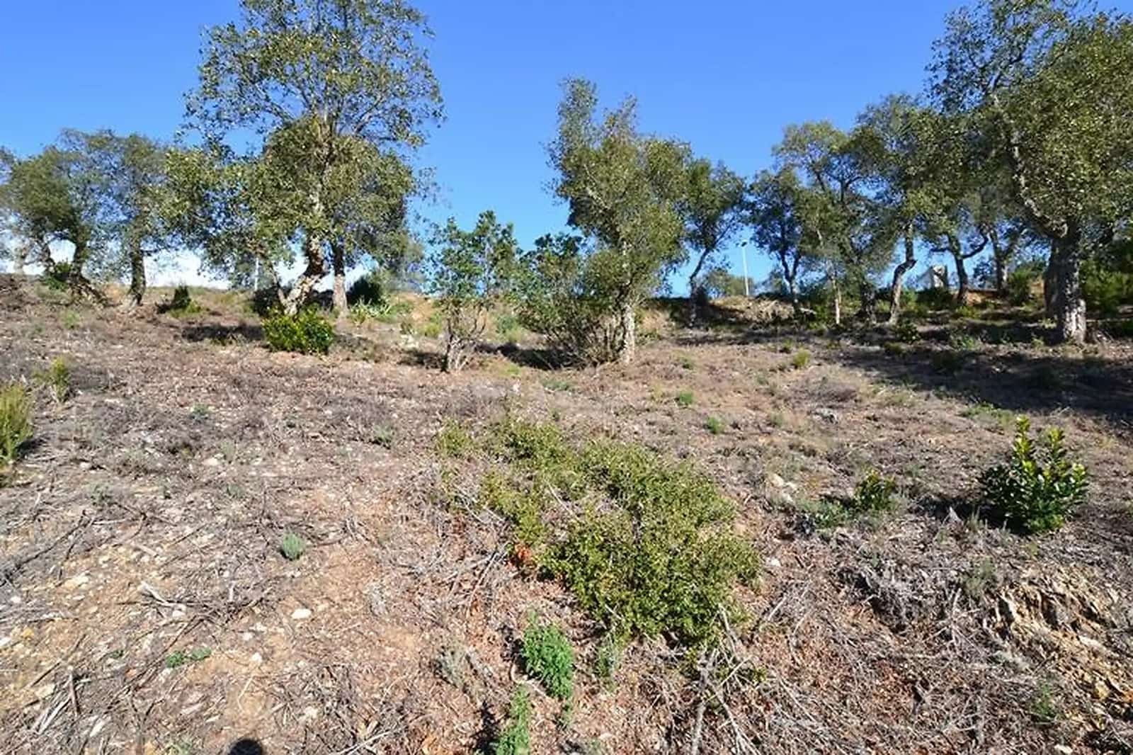 Undeveloped Land for sale in Calonge i Sant Antoni - € 105,000 (Ref: 9930399)