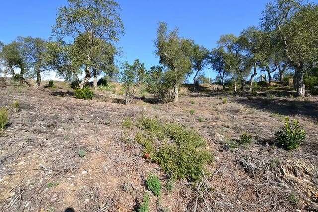 Ubebygd land til salgs i Calonge i Sant Antoni - € 105 000 (Ref: 9930399)