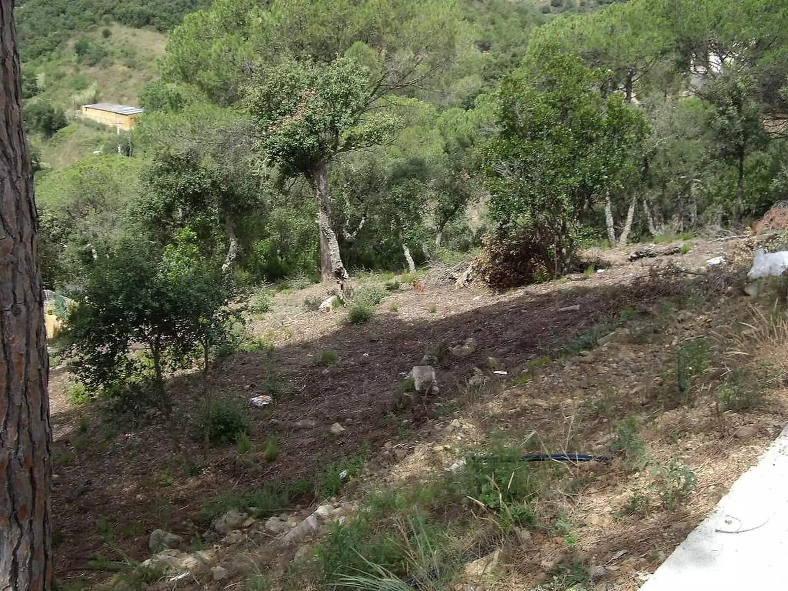 Undeveloped Land for sale in Calonge i Sant Antoni - € 95,000 (Ref: 9930400)