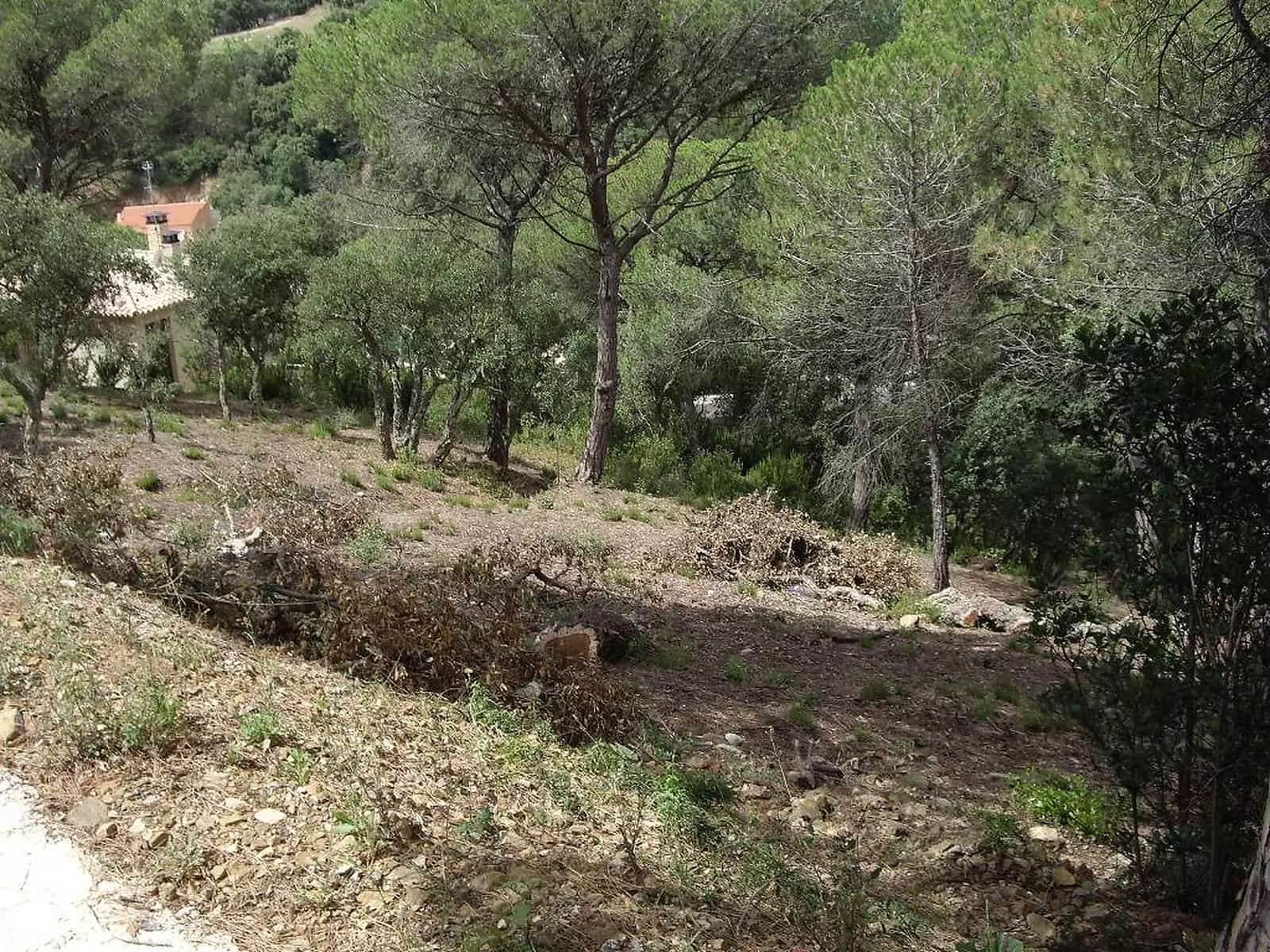 Undeveloped Land for sale in Calonge i Sant Antoni - € 95,000 (Ref: 9930400)