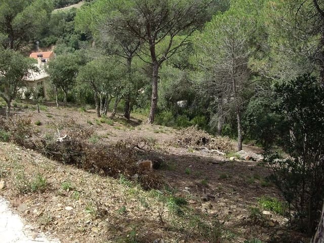 Ubebygd land til salgs i Calonge i Sant Antoni - € 95 000 (Ref: 9930400)