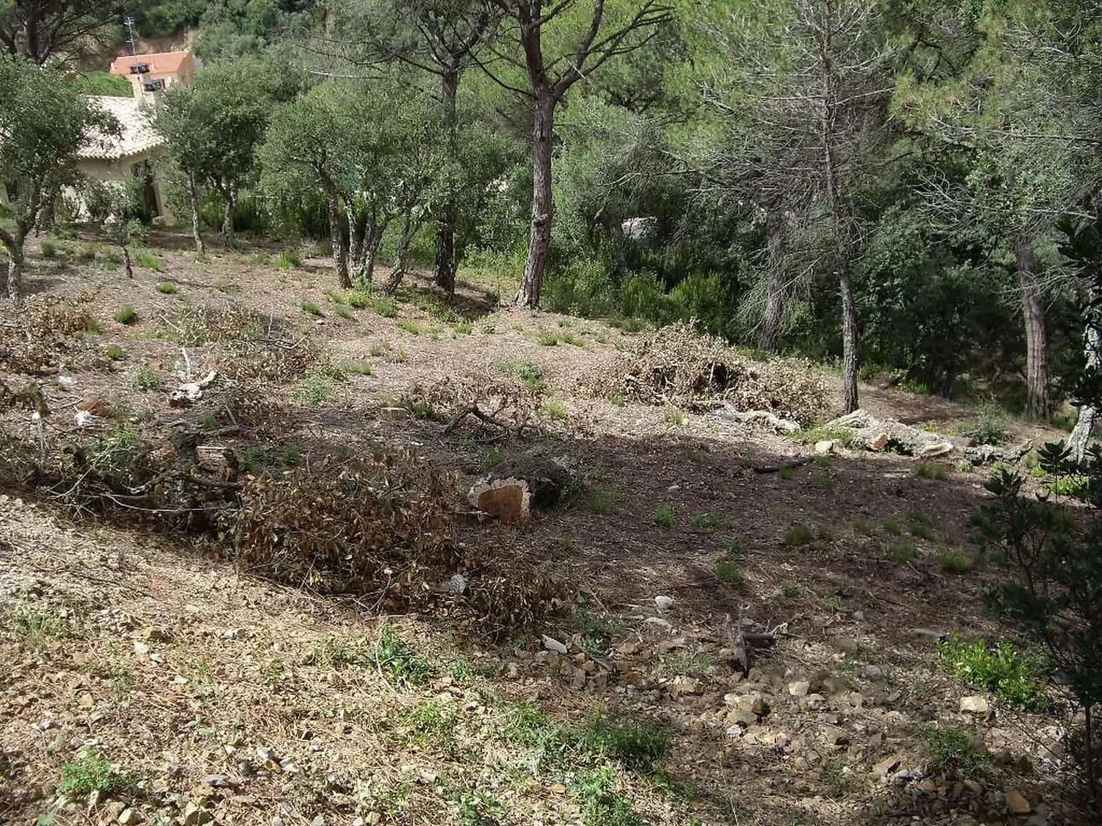 Undeveloped Land for sale in Calonge i Sant Antoni - € 95,000 (Ref: 9930400)