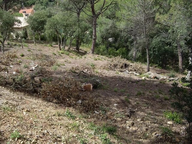 Ubebygd land til salgs i Calonge i Sant Antoni - € 95 000 (Ref: 9930400)