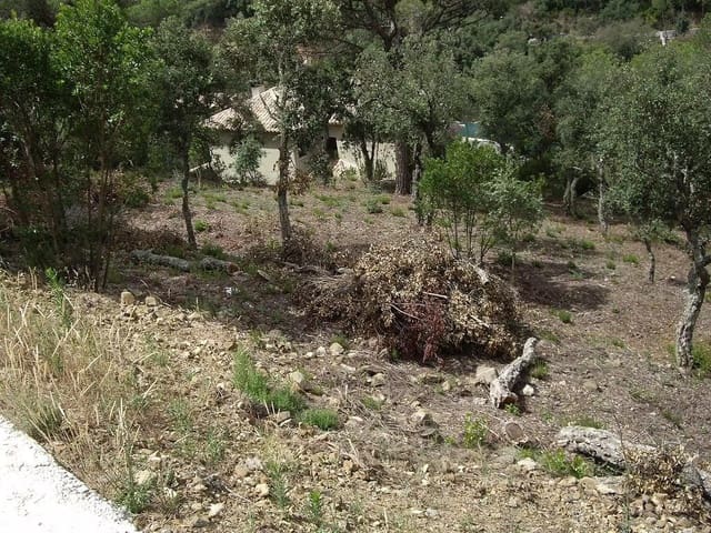 Ubebygd land til salgs i Calonge i Sant Antoni - € 95 000 (Ref: 9930400)