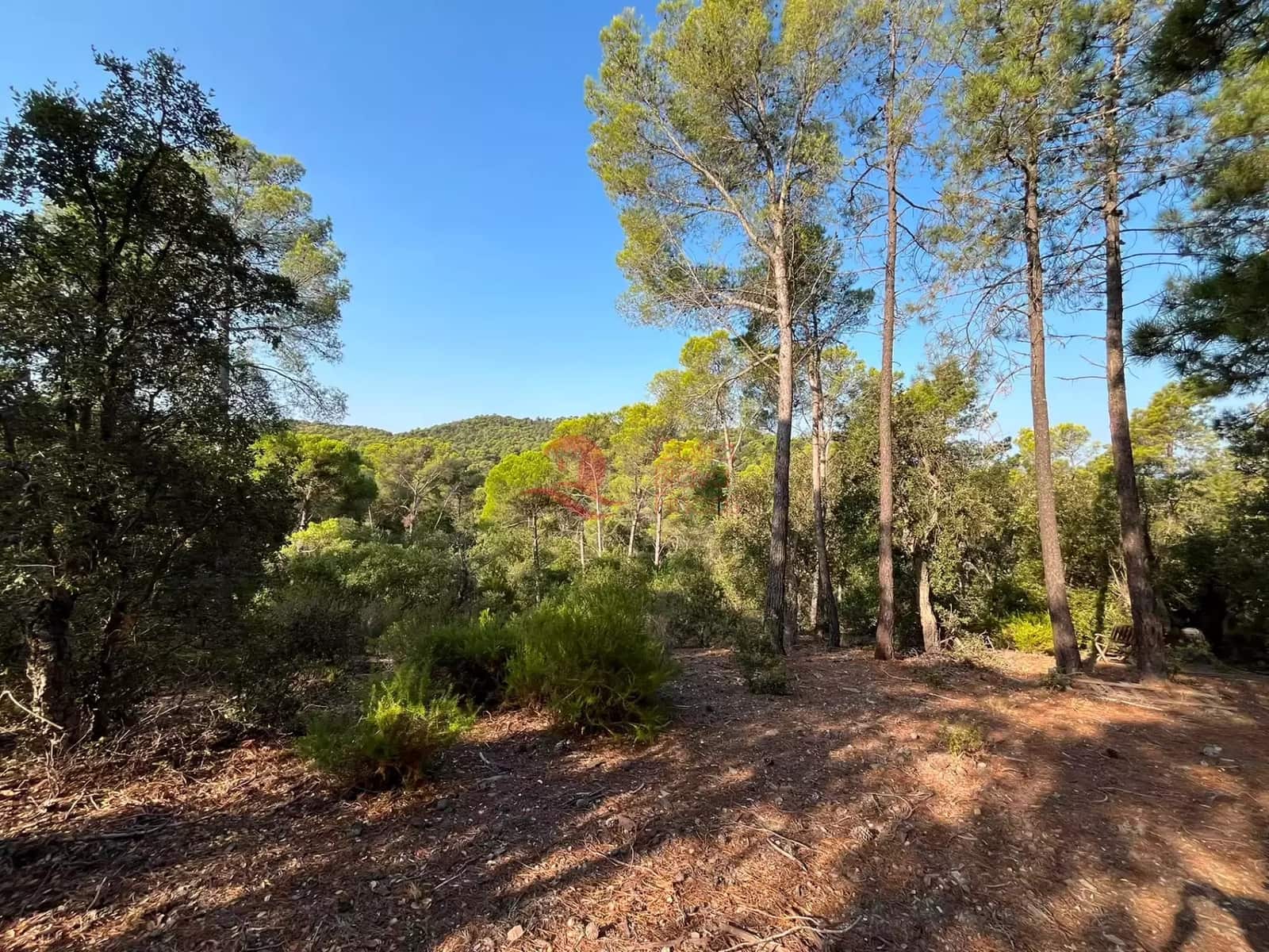 4 soveværelse Finca/Landehus til salg i Forallac med swimmingpool garage - € 595.000 (Ref: 9984966)