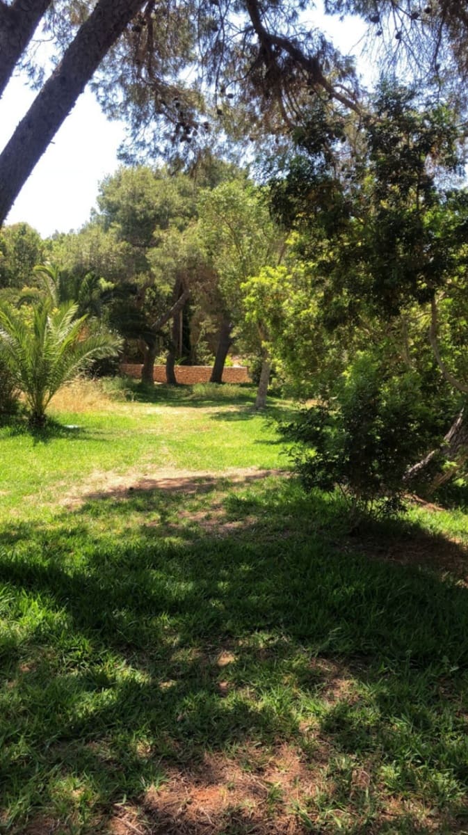 2 sovrum Lägenhet till salu i Ibiza stad med pool garage - 850 000 € (Ref: 8440793)