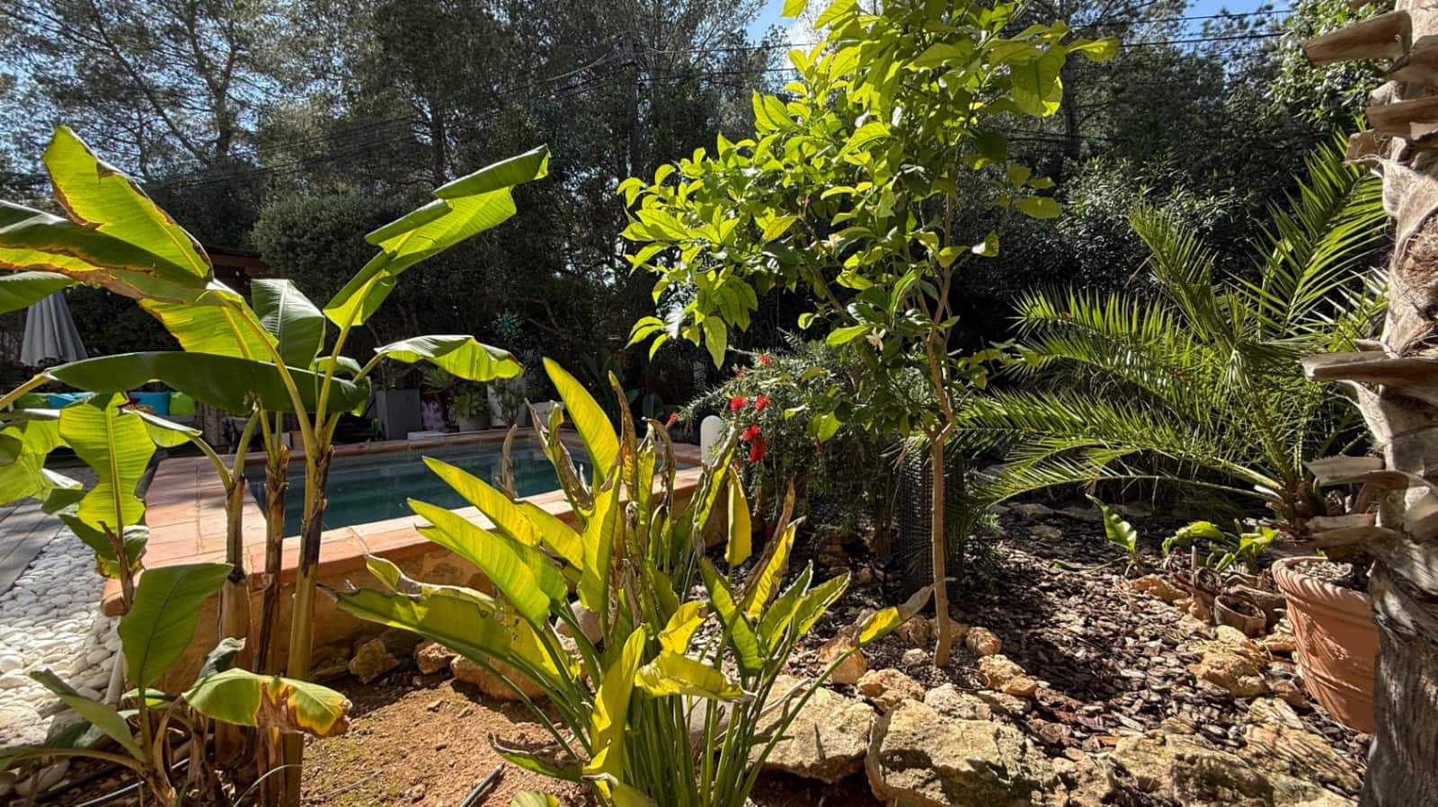 2 slaapkamer Appartement te koop in Sant Agusti des Vedra met zwembad garage - € 689.000 (Ref: 8942276)