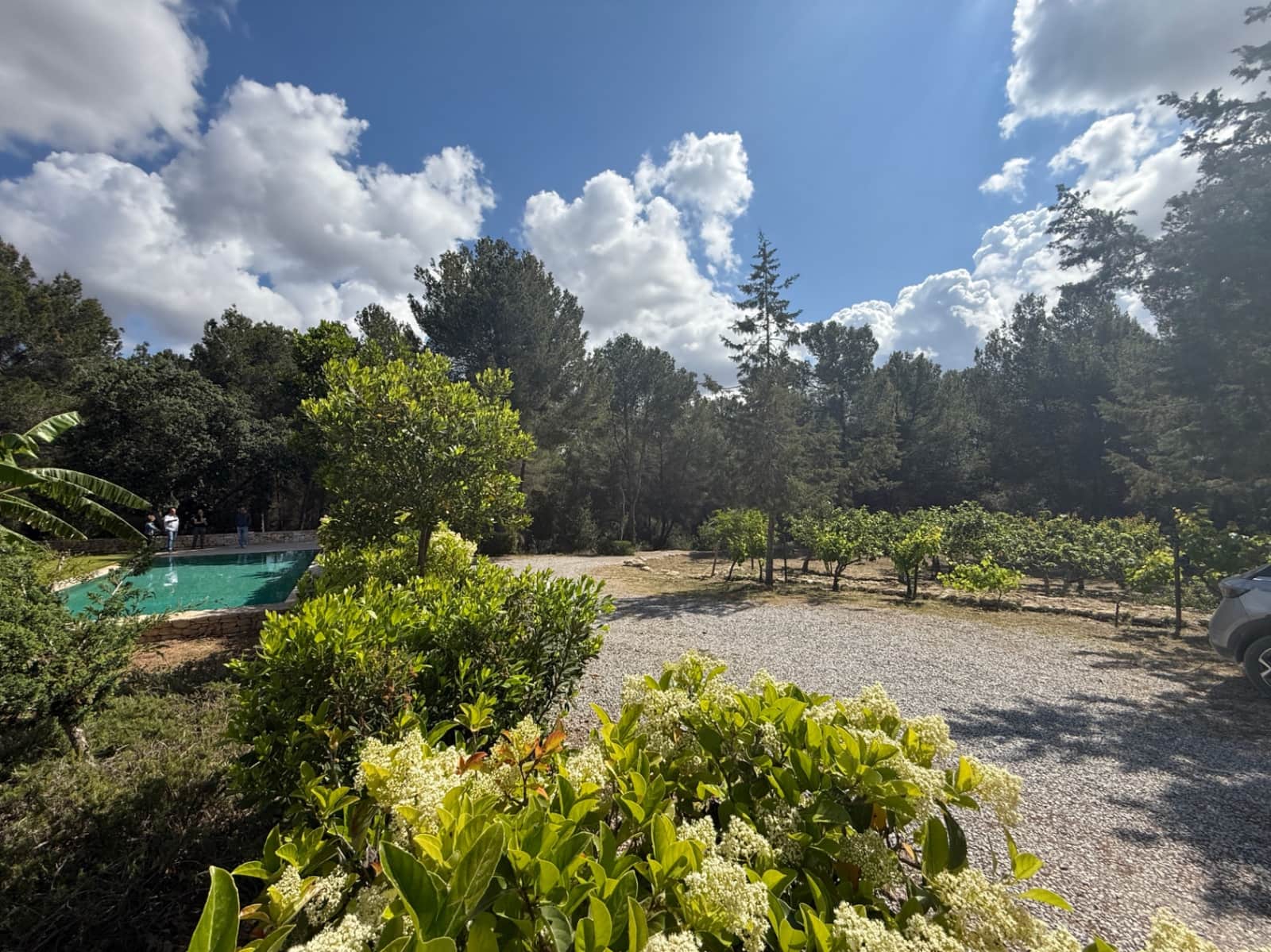 4 soveværelse Villa til salg i Santa Gertrudis de Fruitera med swimmingpool garage - € 4.950.000 (Ref: 8981816)