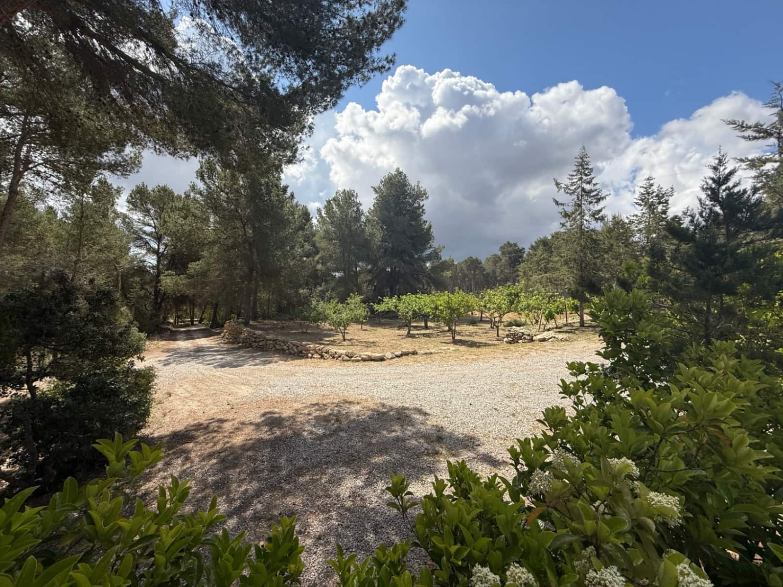 4 soveværelse Villa til salg i Santa Gertrudis de Fruitera med swimmingpool garage - € 4.950.000 (Ref: 8981816)