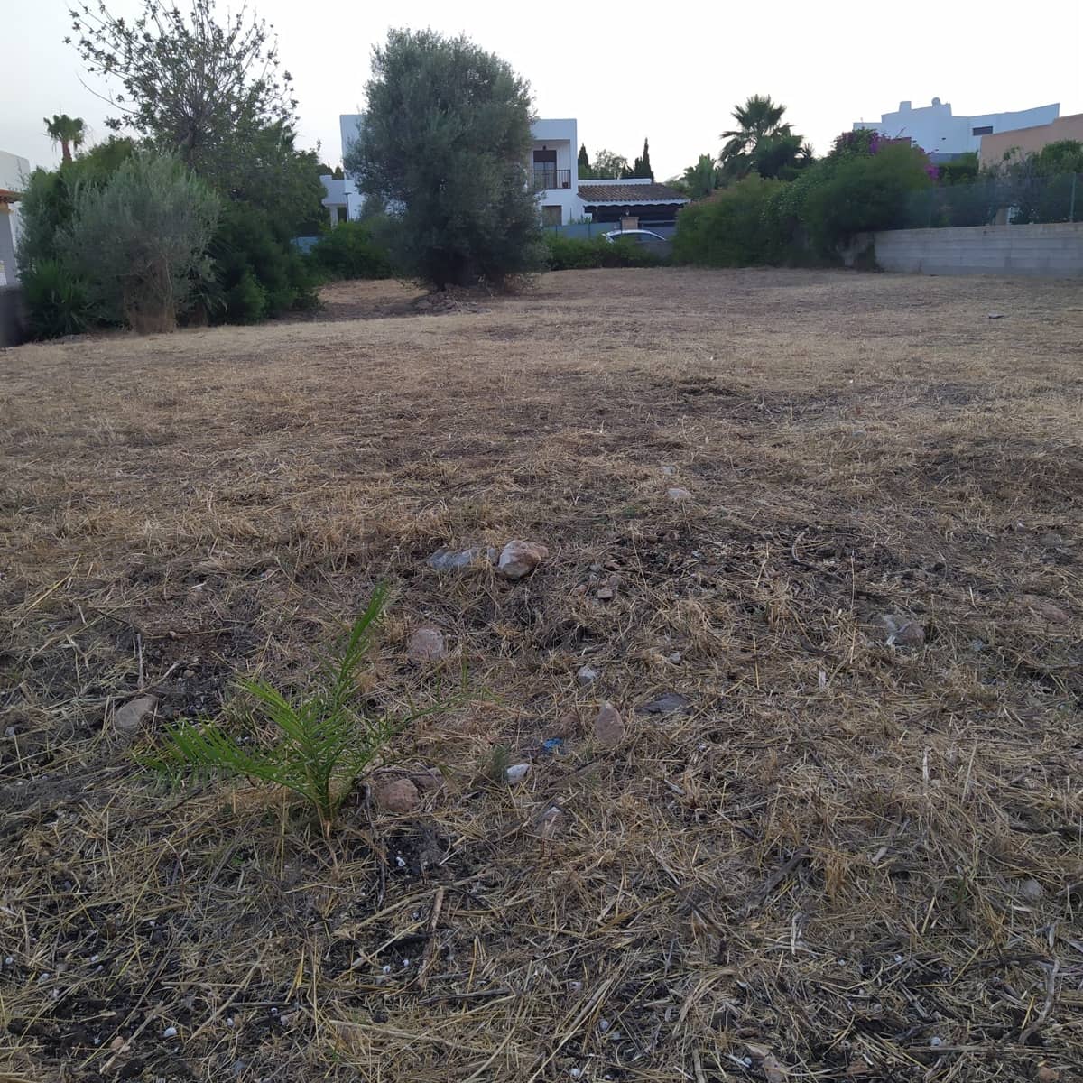 Bouwgrond te koop in San Jose / Sant Josep de Sa Talaia - € 1.365.000 (Ref: 9027043)