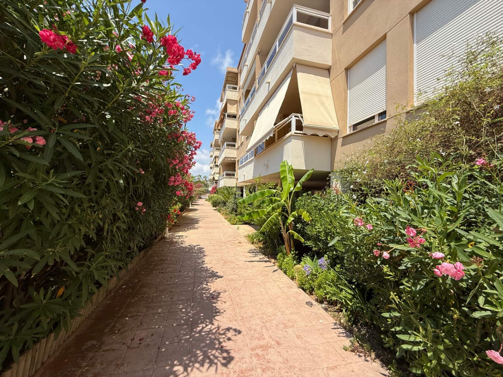 2 bedroom Apartment for sale in Talamanca with garage - € 660,000 (Ref: 9126107)