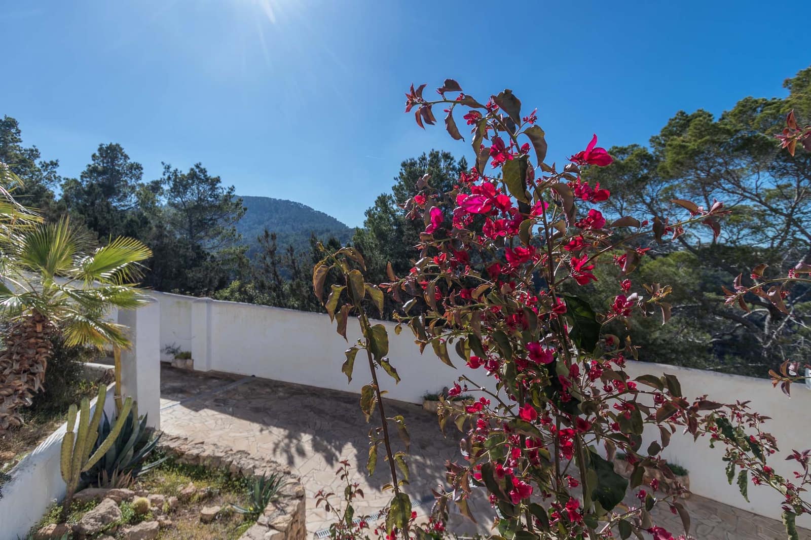 5 chambre Villa/Maison à vendre à Cala Moli avec piscine garage - 2 400 000 € (Ref: 9196962)