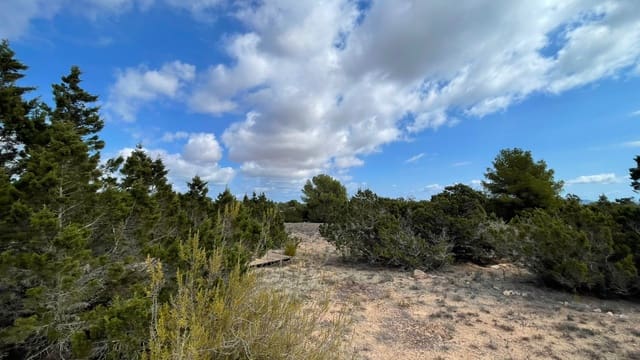 Tomt till salu i Formentera kommun - 1 200 000 € (Ref: 9293288)
