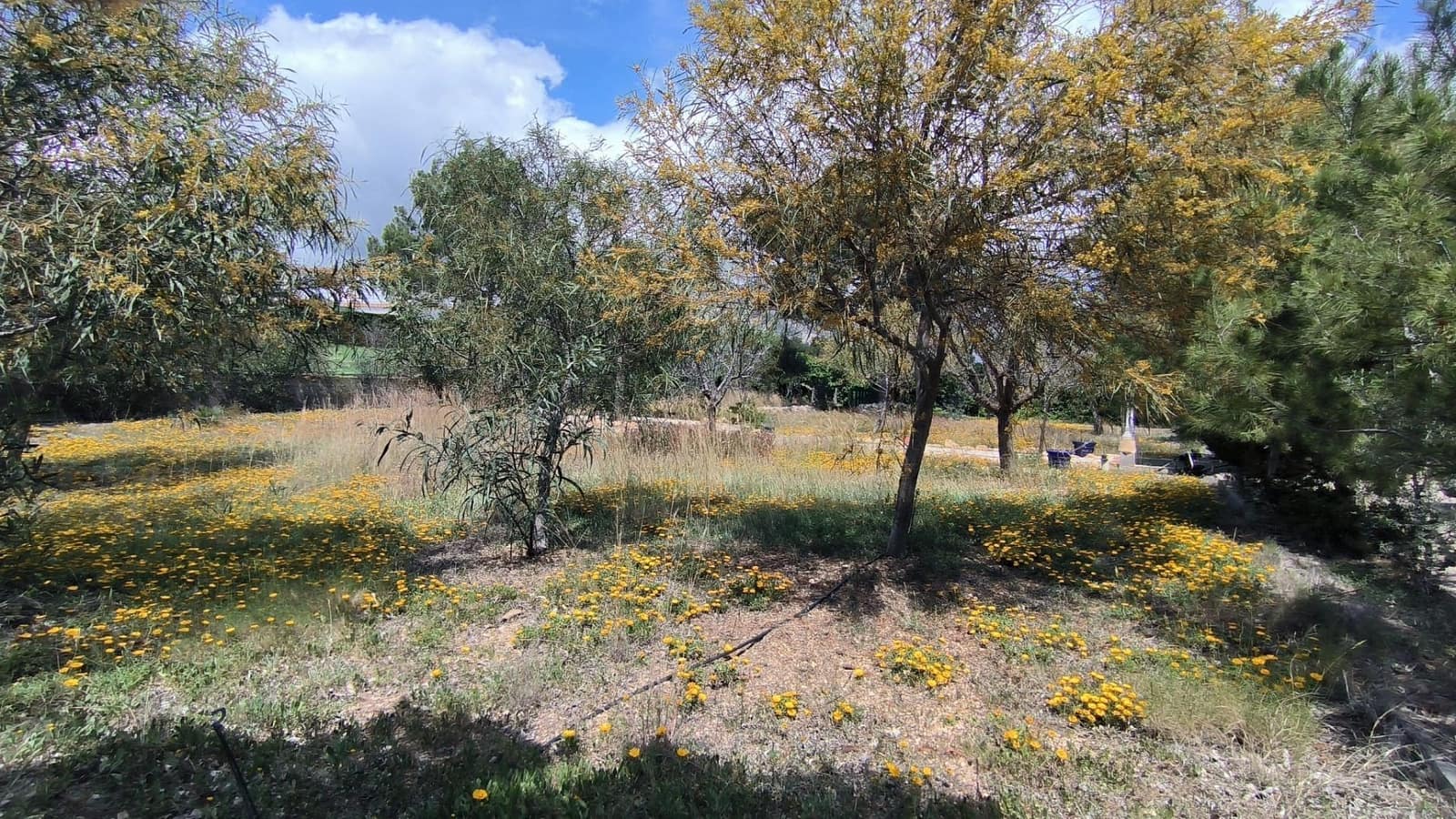 4 sypialnia Willa na sprzedaż w La Nucia z basenem garażem - 560 000 € (Ref: 8242143)