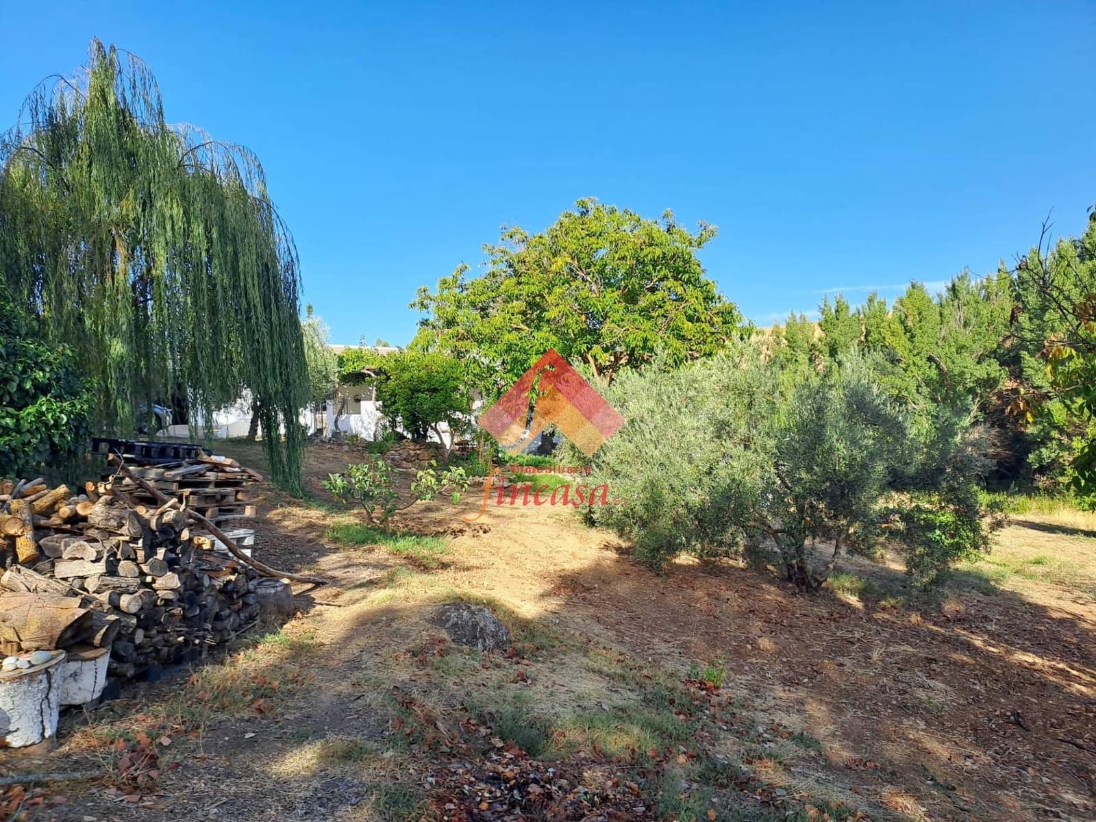 5 Zimmer Finca/Landgut zu verkaufen in Ronda mit Pool Garage - 395.000 € (Ref: 10159738)