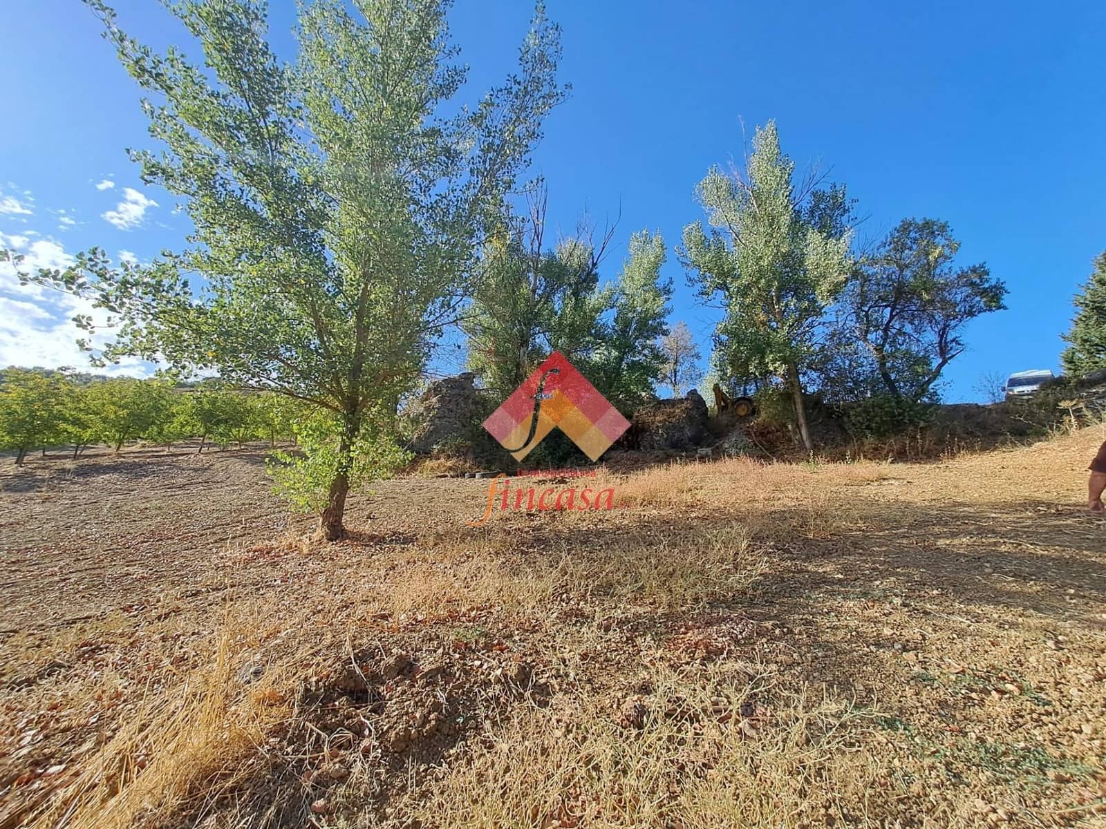 5 Zimmer Finca/Landgut zu verkaufen in Ronda mit Pool Garage - 395.000 € (Ref: 10159738)