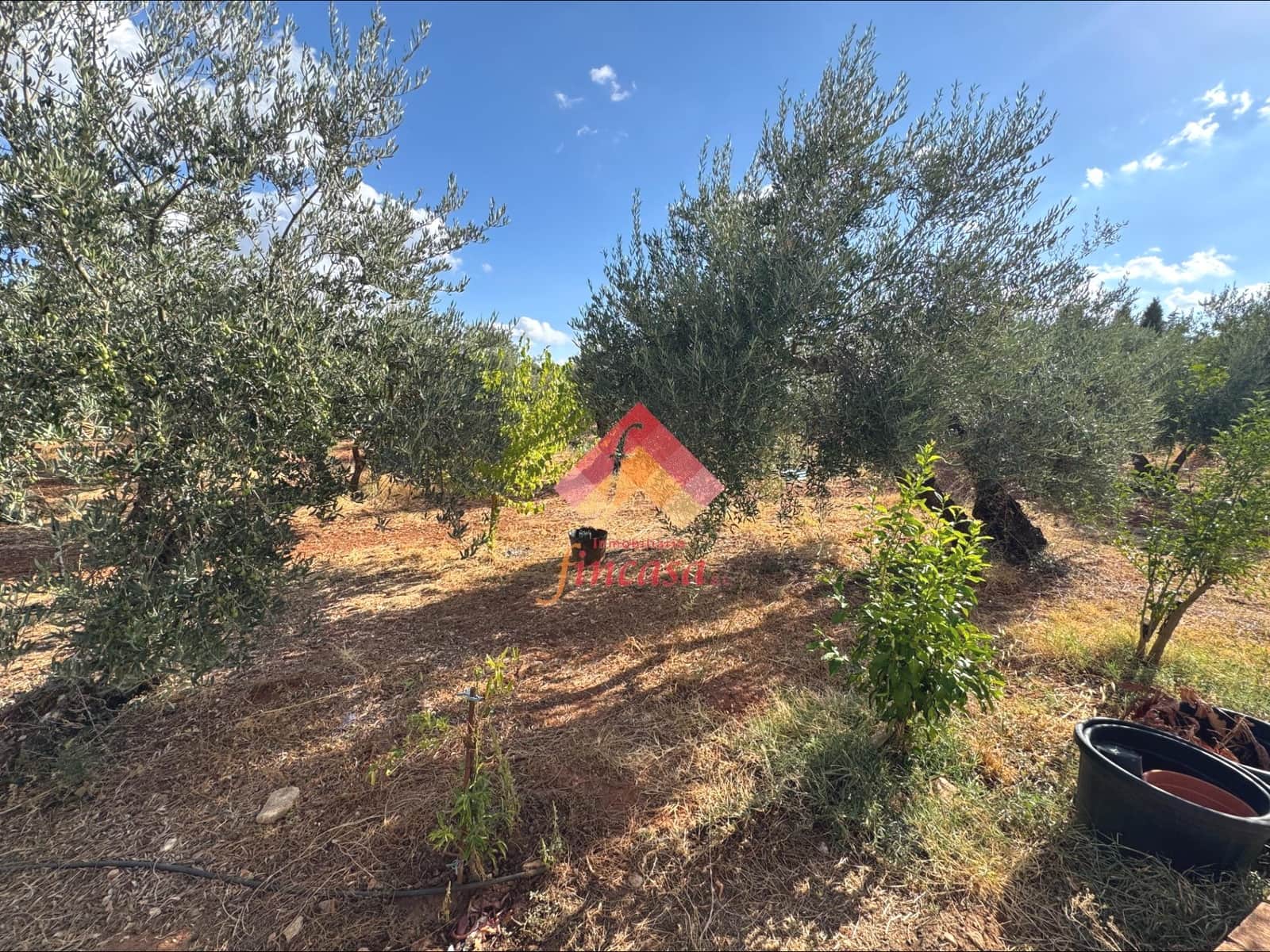 Finca/Casa Rural de 3 habitaciones en Ronda en venta con piscina garaje - 395.000 € (Ref: 10166708)