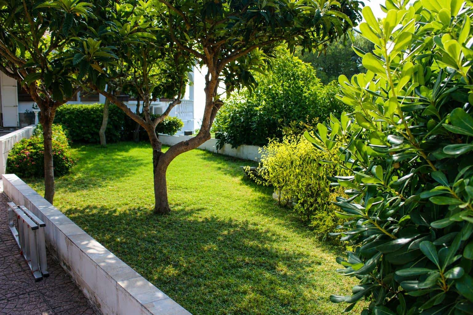 5 bedroom Villa for sale in Oliva - € 530,000 (Ref: 10009223)