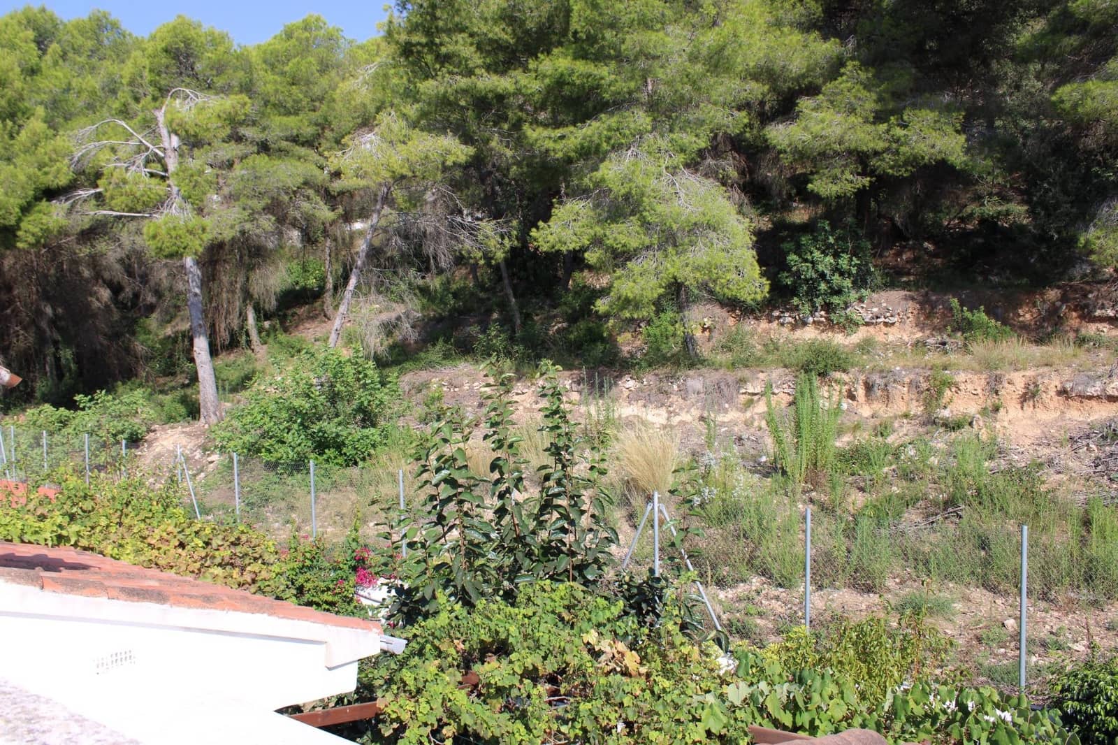 5 bedroom Villa for sale in Oliva - € 530,000 (Ref: 10009223)