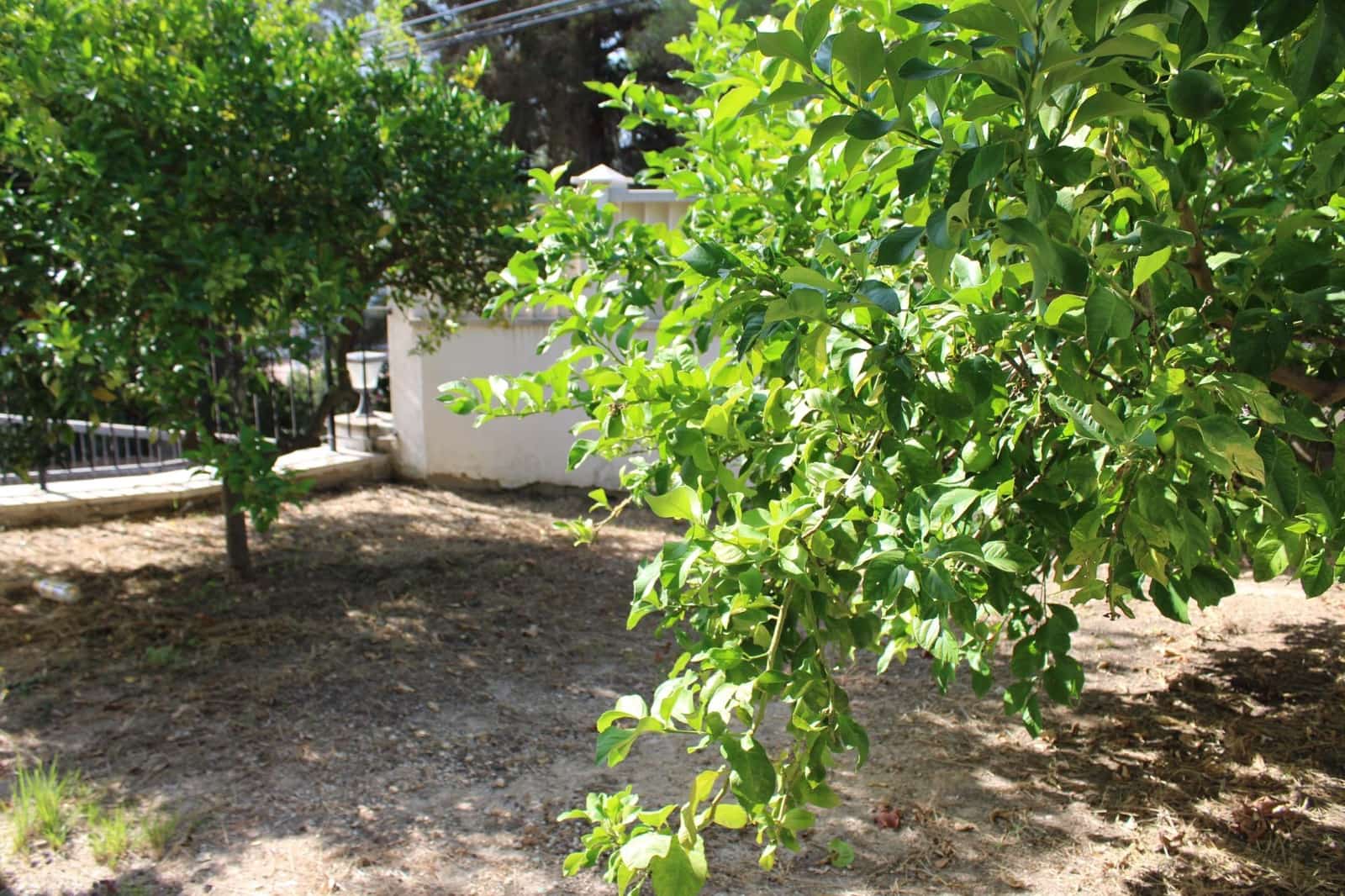 5 bedroom Villa for sale in Oliva - € 530,000 (Ref: 10009223)