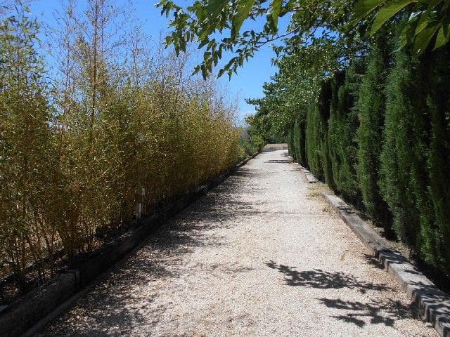 Undeveloped Land for sale in Oliva - € 70,000 (Ref: 8293486)