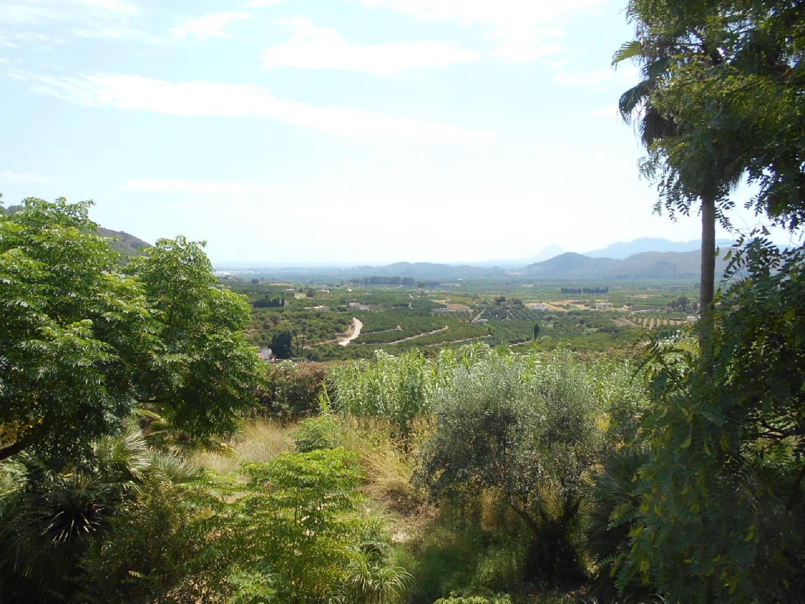 22 sypialnia Willa na sprzedaż w Oliva z basenem - 900 000 € (Ref: 8293487)