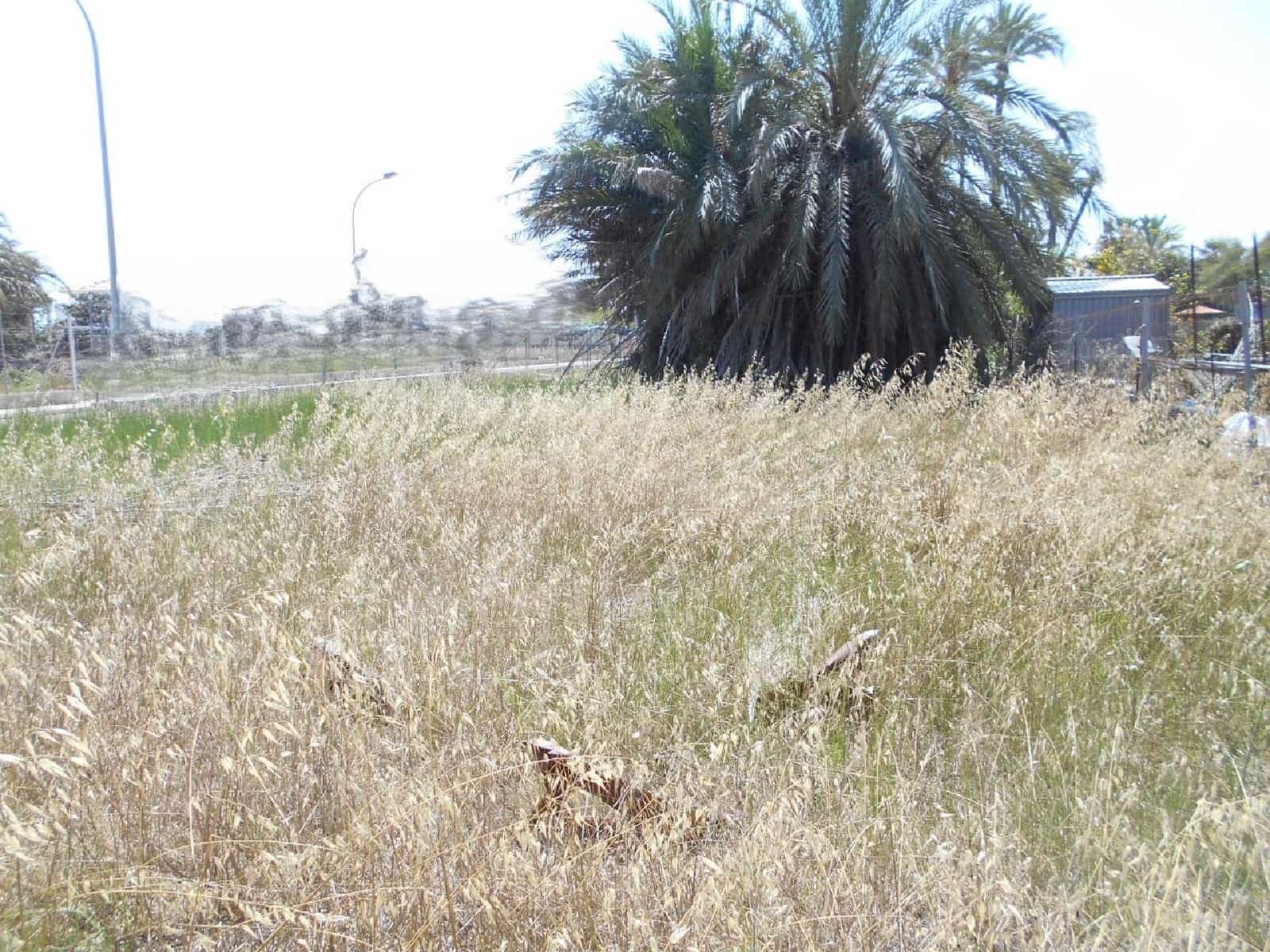 Bouwgrond te koop in Oliva - € 157.500 (Ref: 8327754)