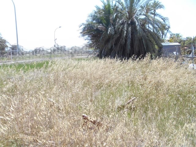 Building Plot for sale in Oliva - € 157,500 (Ref: 8327754)