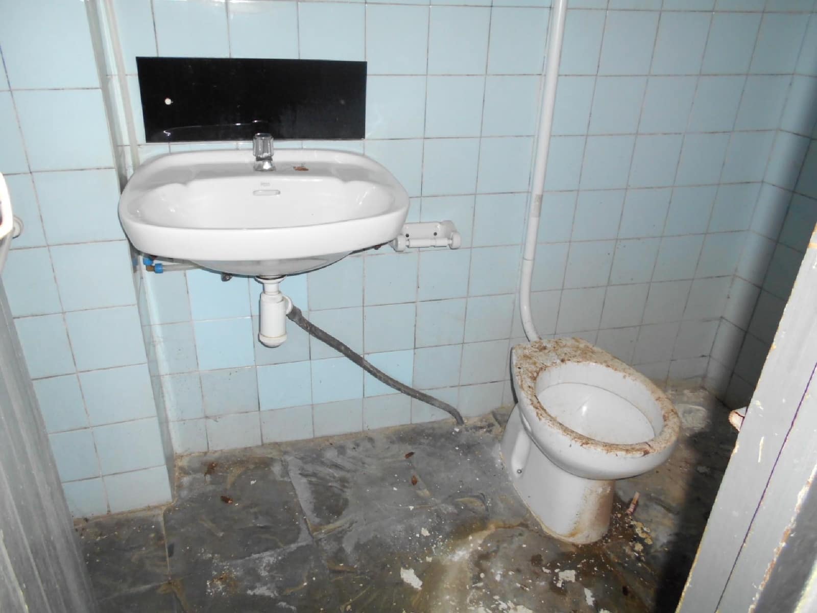 Erhverv til leje i Oliva Nova - € 500 (Ref: 8406868)