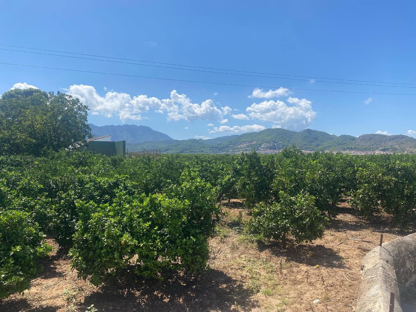 8 bedroom Villa for sale in Beniarjo with pool - € 1,500,000 (Ref: 9062550)