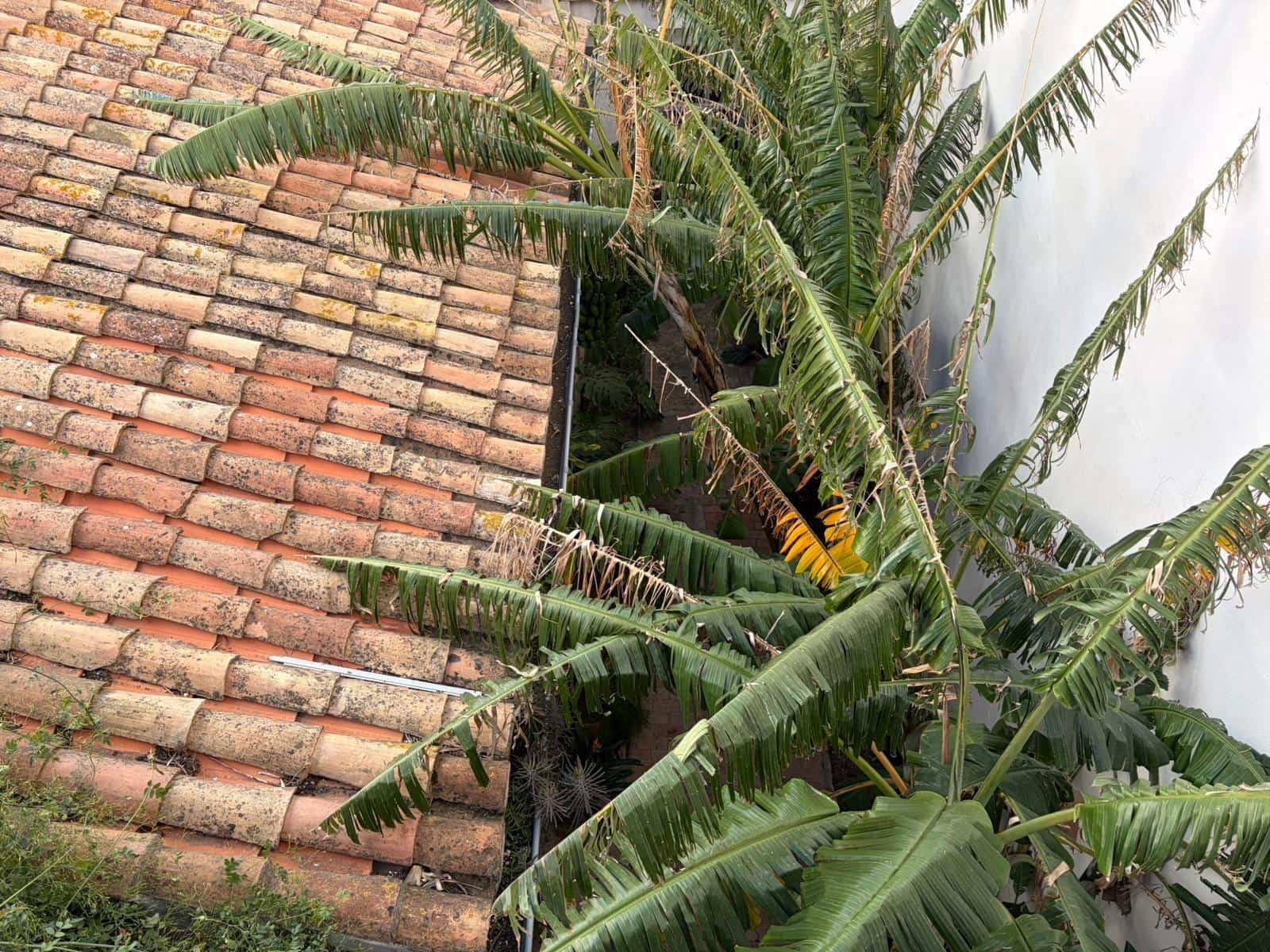 4 soverom Hus til salgs i Oliva med garasje - € 684 000 (Ref: 9762103)