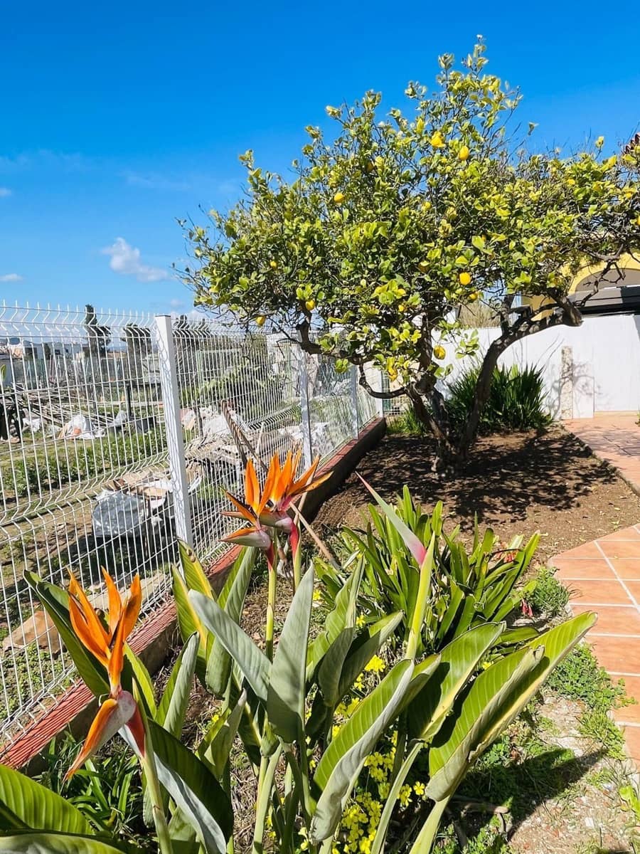 Chalet de 3 habitaciones en Oliva en alquiler con garaje - 2.500 € (Ref: 9780725)