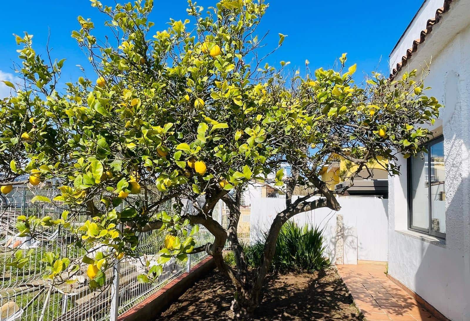 Chalet de 3 habitaciones en Oliva en alquiler con garaje - 2.500 € (Ref: 9780725)